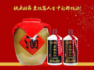 双龙戏珠 | 英雄酒献给最美逆行者