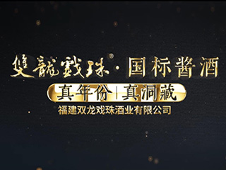 双龙戏珠2021企业宣传片